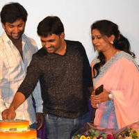 Bhale Bhale Magadivoy Movie Success Meet in USA Photos | Picture 1123464