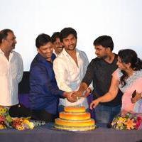Bhale Bhale Magadivoy Movie Success Meet in USA Photos | Picture 1123484