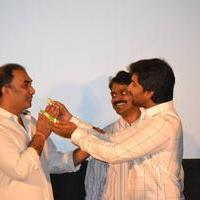 Bhale Bhale Magadivoy Movie Success Meet in USA Photos | Picture 1123485
