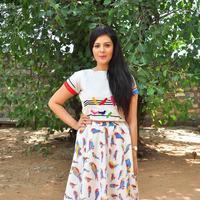 Actress Srimukhi Cute Gallery | Picture 1123901