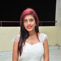 Liza Redd at Veelaithe Premiddam Audio Launch Stills | Picture 1124591