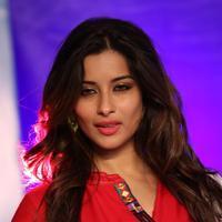 Actress Madhurima Special Gallery | Picture 1127454