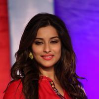 Actress Madhurima Special Gallery | Picture 1127467