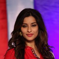 Actress Madhurima Special Gallery | Picture 1127468