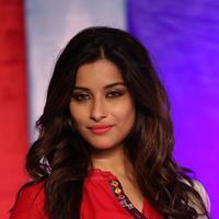 Actress Madhurima Special Gallery | Picture 1127469