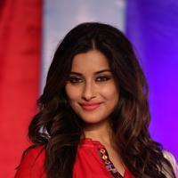 Actress Madhurima Special Gallery | Picture 1127472