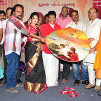 Anustaanam Movie Audio Launch Photos | Picture 1290018