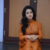 Bhanusree at Kali Movie Audio Launch Photos | Picture 1290727