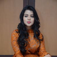 Bhanusree at Kali Movie Audio Launch Photos | Picture 1290734