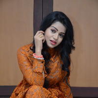 Bhanusree at Kali Movie Audio Launch Photos | Picture 1290740