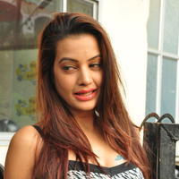Diksha Panth at Chal Chal Gurram Movie Audio Launch Stills | Picture 1292725