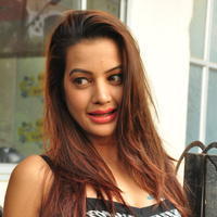 Diksha Panth at Chal Chal Gurram Movie Audio Launch Stills | Picture 1292726