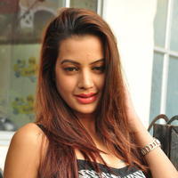 Diksha Panth at Chal Chal Gurram Movie Audio Launch Stills | Picture 1292729