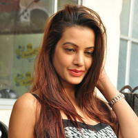 Diksha Panth at Chal Chal Gurram Movie Audio Launch Stills | Picture 1292730