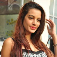 Diksha Panth at Chal Chal Gurram Movie Audio Launch Stills | Picture 1292731