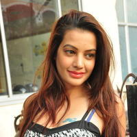 Diksha Panth at Chal Chal Gurram Movie Audio Launch Stills | Picture 1292732