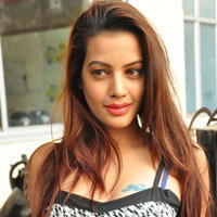 Diksha Panth at Chal Chal Gurram Movie Audio Launch Stills | Picture 1292736