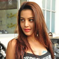 Diksha Panth at Chal Chal Gurram Movie Audio Launch Stills | Picture 1292737