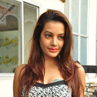 Diksha Panth at Chal Chal Gurram Movie Audio Launch Stills | Picture 1292741