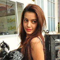 Diksha Panth at Chal Chal Gurram Movie Audio Launch Stills | Picture 1292750