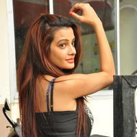 Diksha Panth at Chal Chal Gurram Movie Audio Launch Stills | Picture 1292755