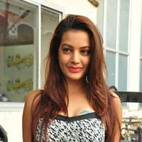 Diksha Panth at Chal Chal Gurram Movie Audio Launch Stills | Picture 1292760