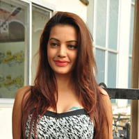Diksha Panth at Chal Chal Gurram Movie Audio Launch Stills | Picture 1292765