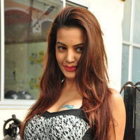 Diksha Panth at Chal Chal Gurram Movie Audio Launch Stills | Picture 1292775