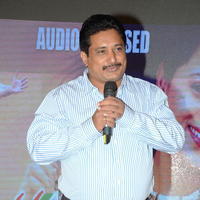 Jeelakarra Bellam Movie Audio Launch Photos | Picture 1292531