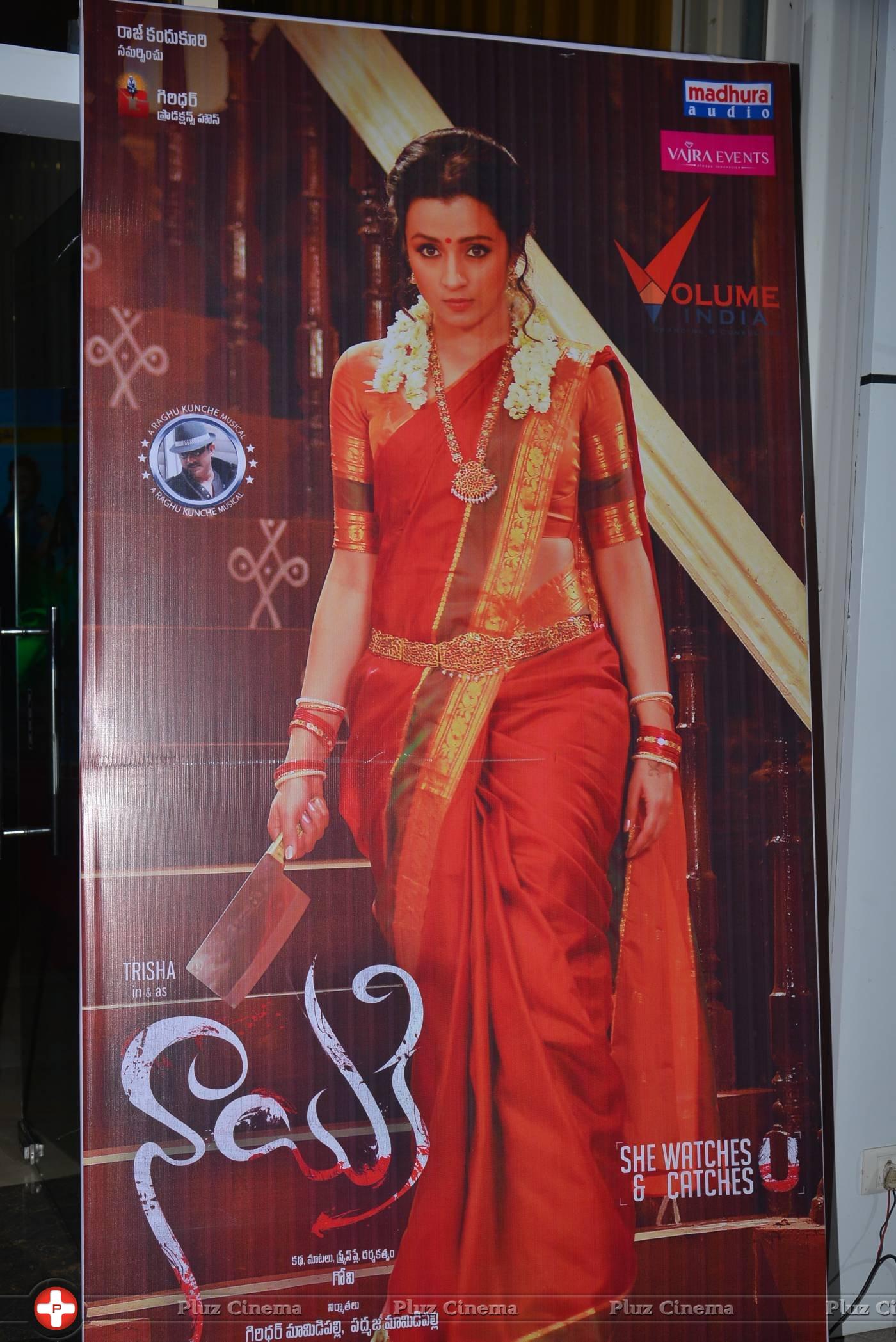 Nayaki Movie Audio Launch Photos | Picture 1295779