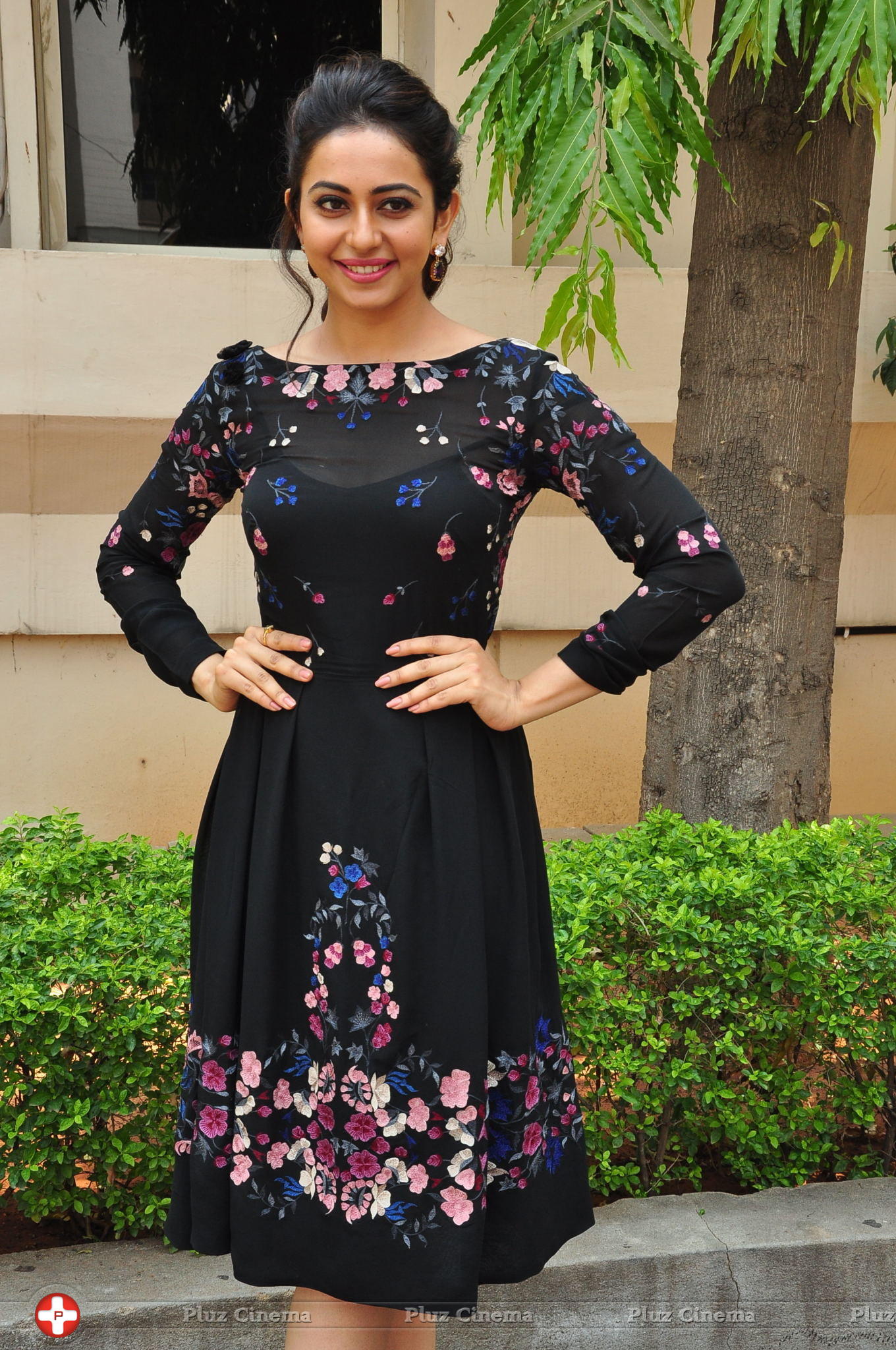 Rakul Preet Singh at Sarrainodu Press Meet Stills | Picture 1297231