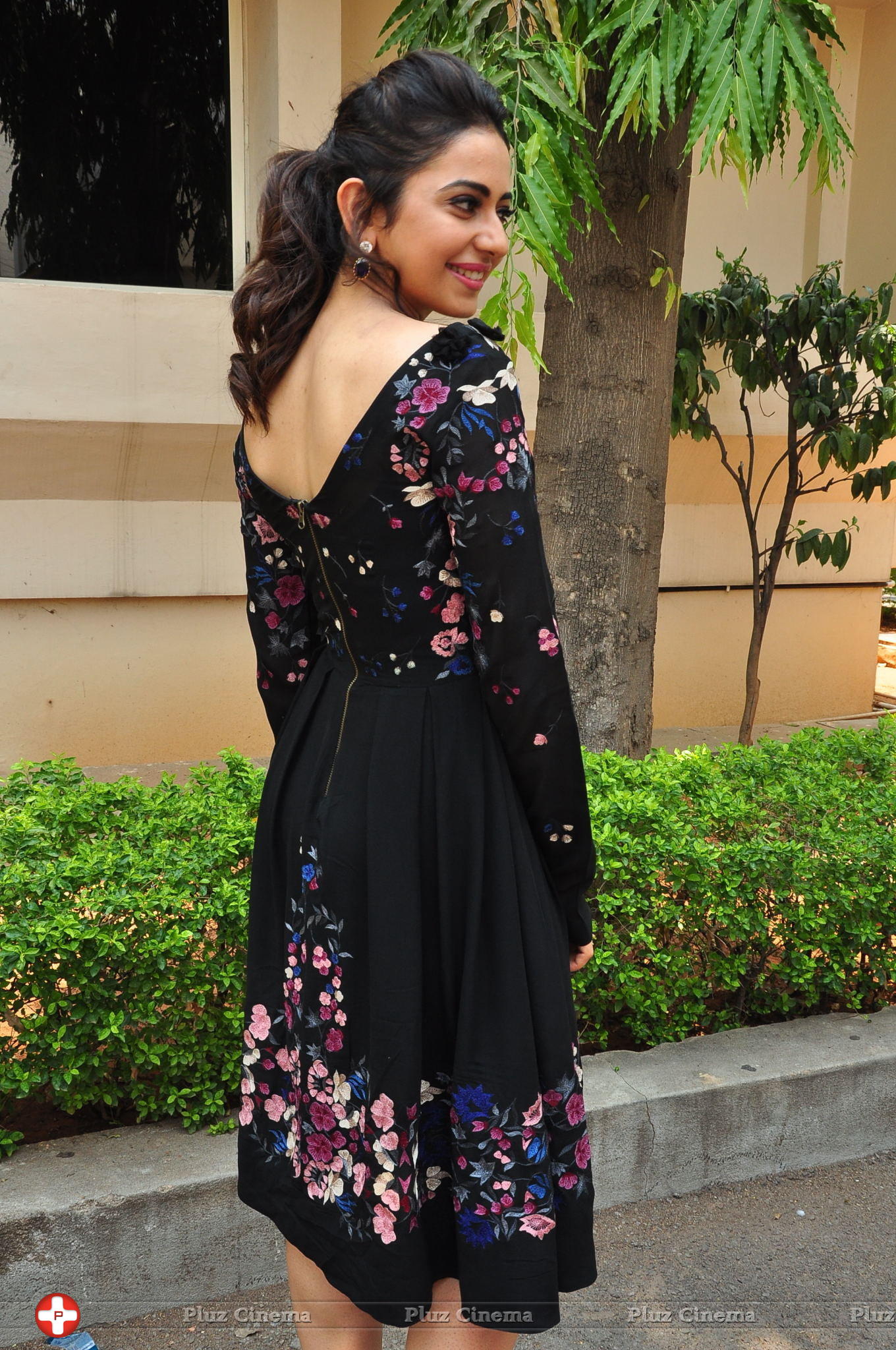 Rakul Preet Singh at Sarrainodu Press Meet Stills | Picture 1297232