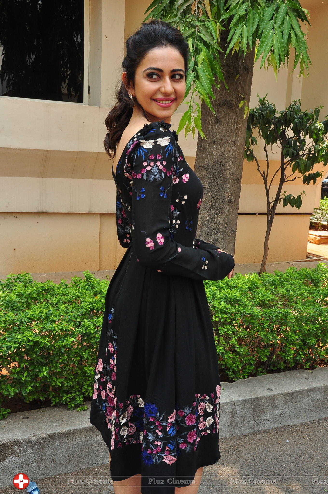 Rakul Preet Singh at Sarrainodu Press Meet Stills | Picture 1297239