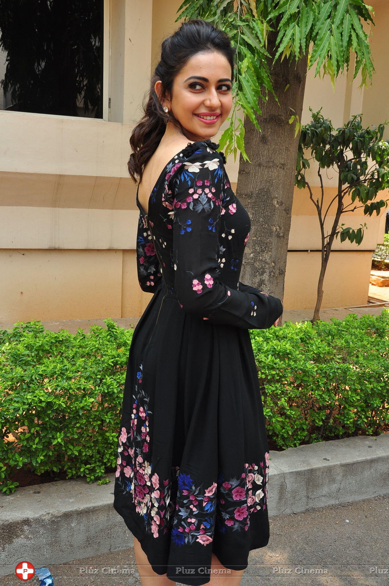 Rakul Preet Singh at Sarrainodu Press Meet Stills | Picture 1297240