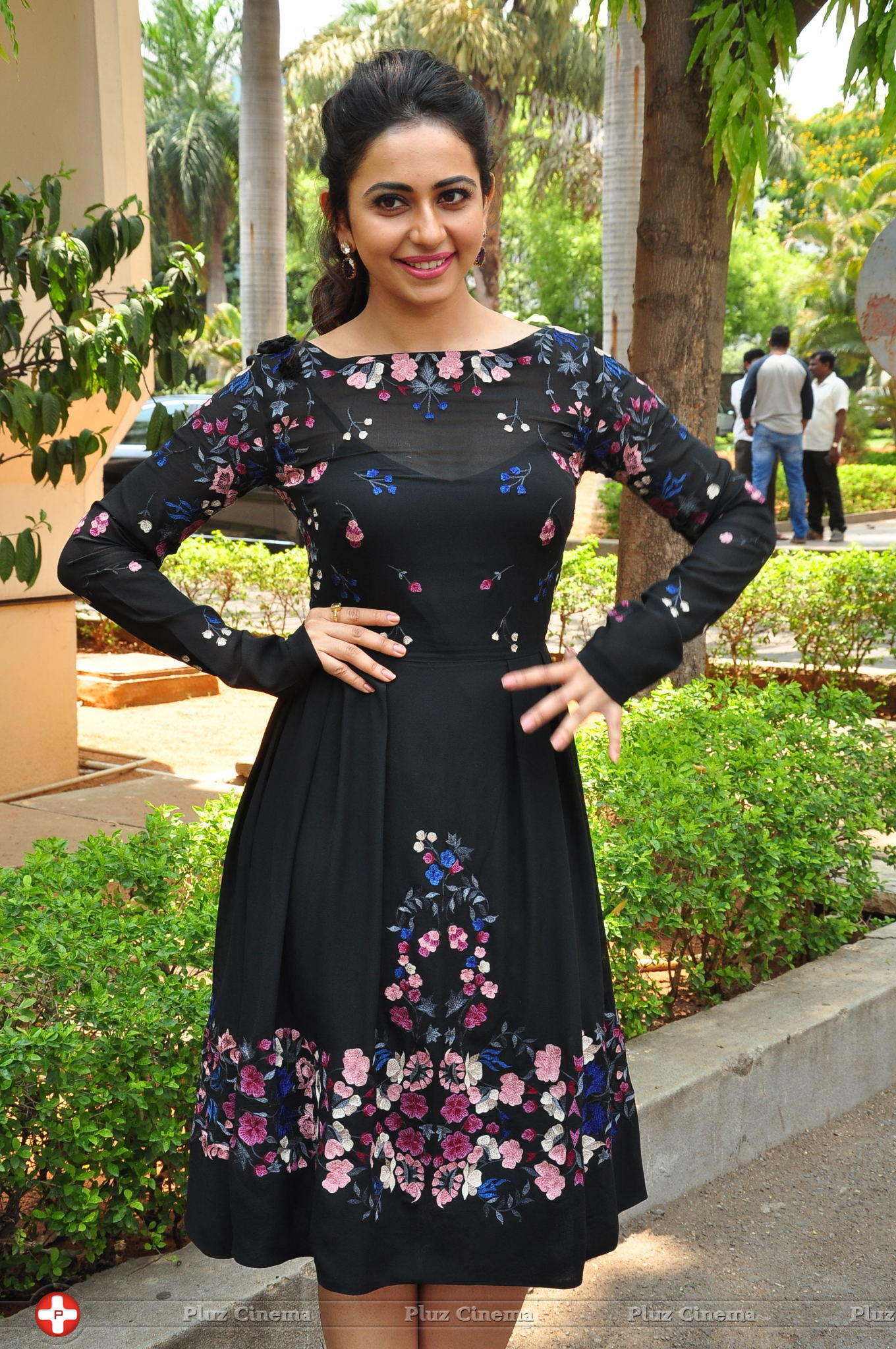 Rakul Preet Singh at Sarrainodu Press Meet Stills | Picture 1297268