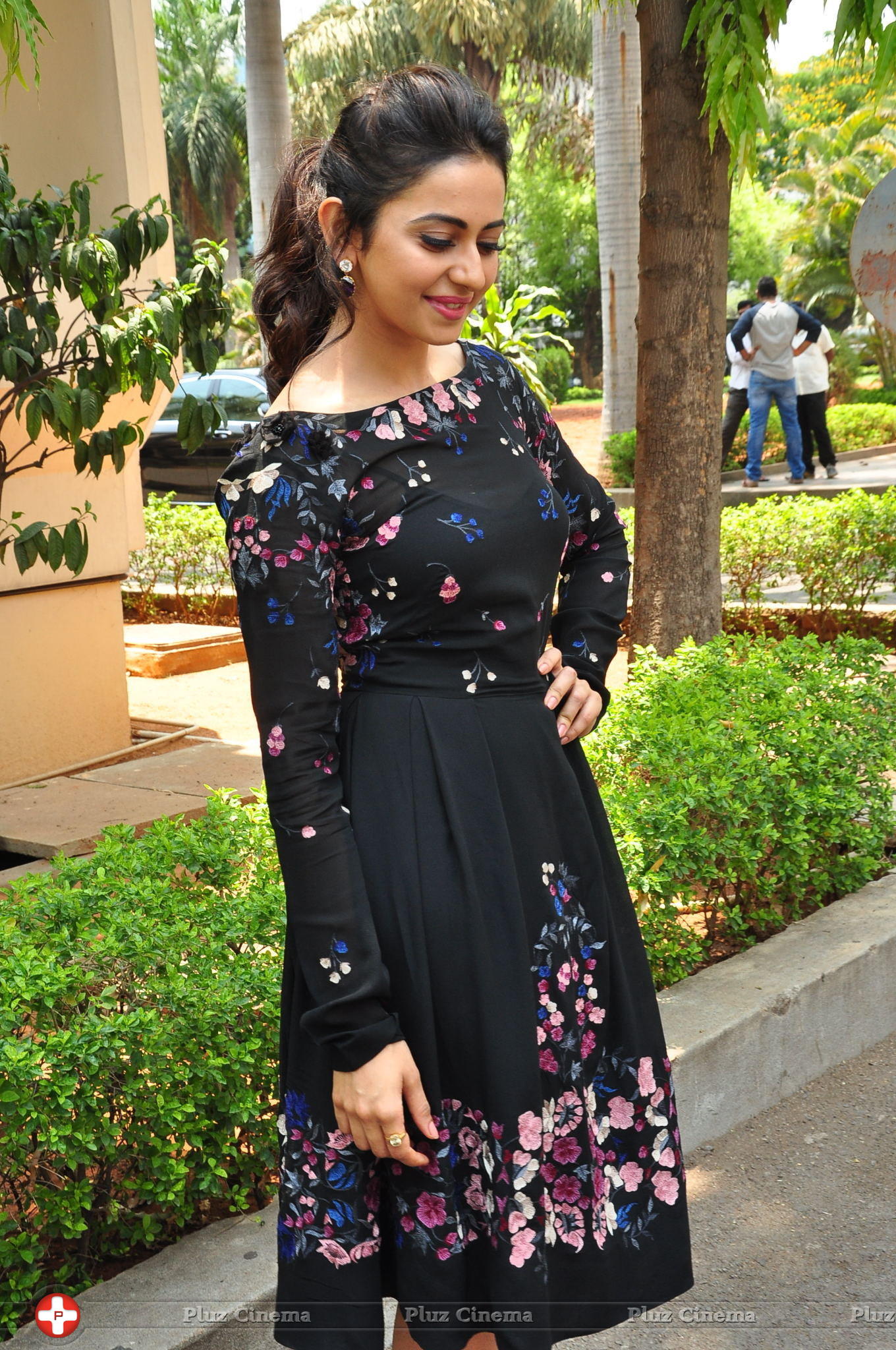 Rakul Preet Singh at Sarrainodu Press Meet Stills | Picture 1297275