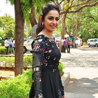 Rakul Preet Singh at Sarrainodu Press Meet Stills | Picture 1297181