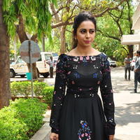 Rakul Preet Singh at Sarrainodu Press Meet Stills | Picture 1297182