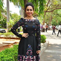 Rakul Preet Singh at Sarrainodu Press Meet Stills | Picture 1297185