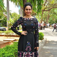 Rakul Preet Singh at Sarrainodu Press Meet Stills | Picture 1297188