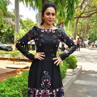 Rakul Preet Singh at Sarrainodu Press Meet Stills | Picture 1297189