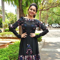 Rakul Preet Singh at Sarrainodu Press Meet Stills | Picture 1297191