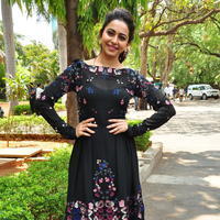 Rakul Preet Singh at Sarrainodu Press Meet Stills | Picture 1297192