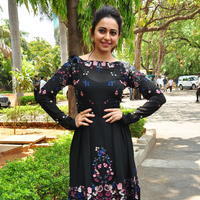 Rakul Preet Singh at Sarrainodu Press Meet Stills | Picture 1297196