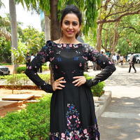 Rakul Preet Singh at Sarrainodu Press Meet Stills | Picture 1297199