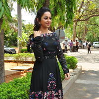 Rakul Preet Singh at Sarrainodu Press Meet Stills | Picture 1297203