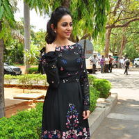 Rakul Preet Singh at Sarrainodu Press Meet Stills | Picture 1297204