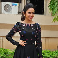 Rakul Preet Singh at Sarrainodu Press Meet Stills | Picture 1297229