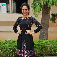 Rakul Preet Singh at Sarrainodu Press Meet Stills | Picture 1297245