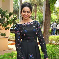 Rakul Preet Singh at Sarrainodu Press Meet Stills | Picture 1297260